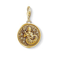 Silver & Zirconia AQUARIUS Zodiac Charm in Gold