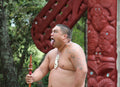 New Zealand Maori Tribal Style Hand Carved Bone 'HEI-MATAU'( Fish Hook)  SAFE JOURNEY Necklace-9 styles